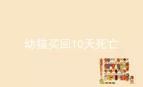 幼猫买回10天死亡