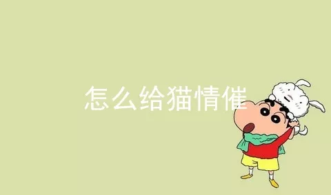 怎么给猫情催