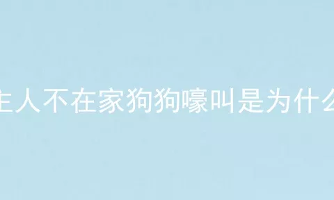 主人不在家狗狗嚎叫是为什么