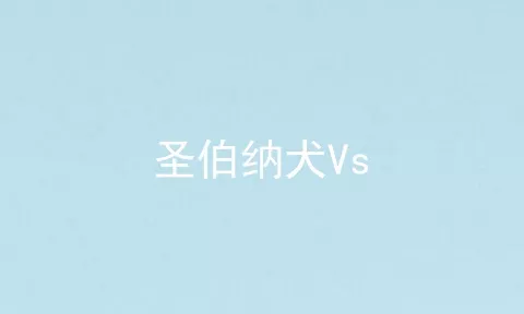 圣伯纳犬Vs