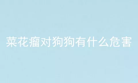 菜花瘤对狗狗有什么危害