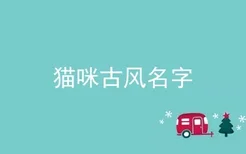 猫咪古风名字