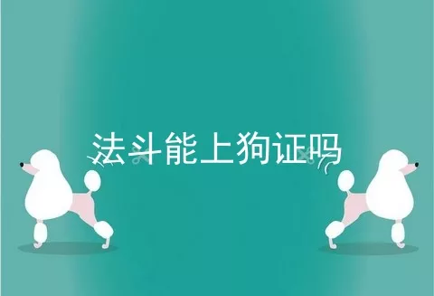 法斗能上狗证吗