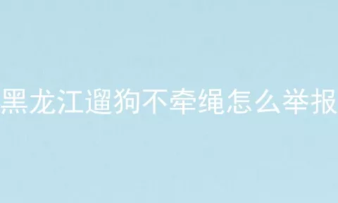 黑龙江遛狗不牵绳怎么举报