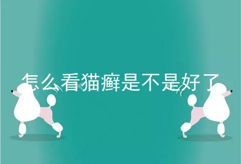 怎么看猫癣是不是好了