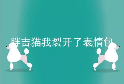 胖吉猫我裂开了表情包