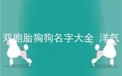 双胞胎狗狗名字大全 洋气