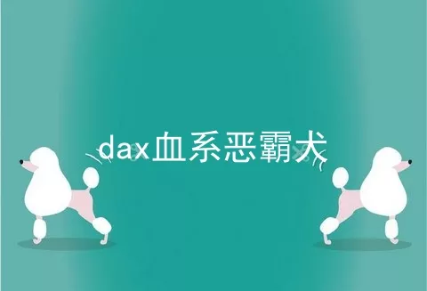 dax血系恶霸犬