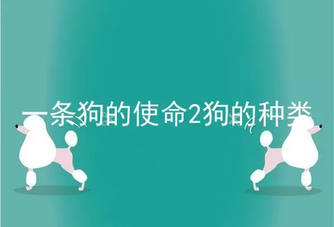 一条狗的使命2狗的种类