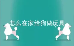 怎么在家给狗做玩具