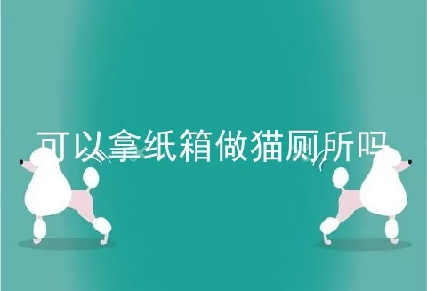 可以拿纸箱做猫厕所吗