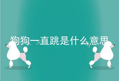 狗狗一直跳是什么意思