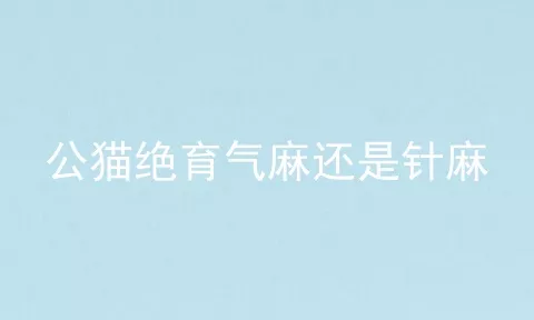 公猫绝育气麻还是针麻