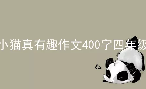 小猫真有趣作文400字四年级