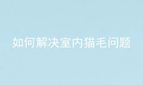 如何解决室内猫毛问题