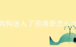 狗狗送人了很难受怎么办