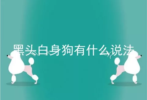 黑头白身狗有什么说法