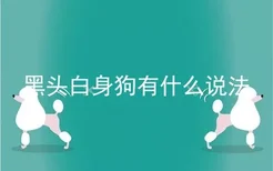 黑头白身狗有什么说法