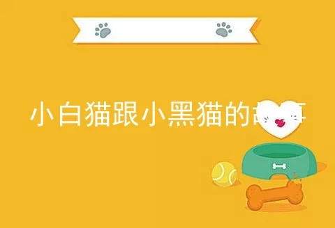 小白猫跟小黑猫的故事