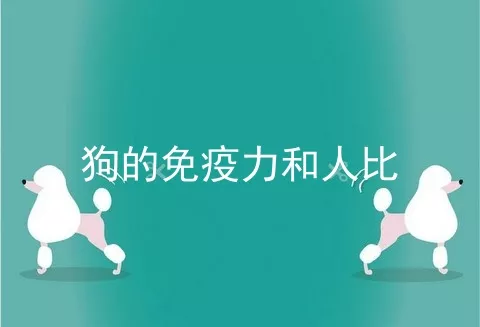 狗的免疫力和人比