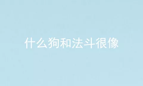 什么狗和法斗很像