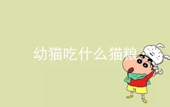 幼猫吃什么猫粮