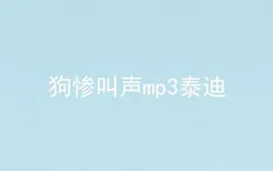 狗惨叫声mp3泰迪