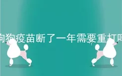 狗狗疫苗断了一年需要重打吗