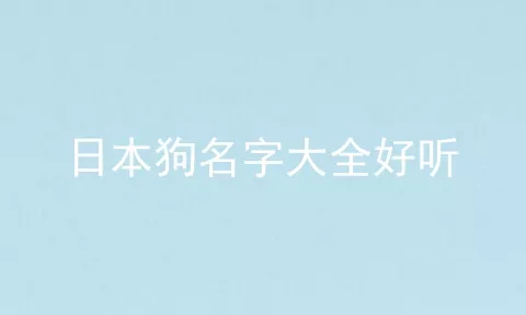 日本狗名字大全好听