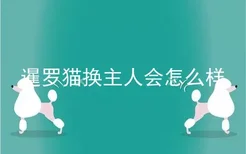 暹罗猫换主人会怎么样