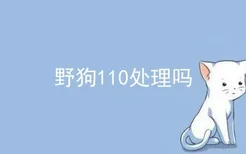 野狗110处理吗