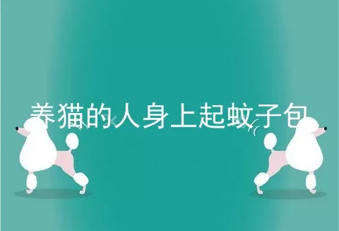 养猫的人身上起蚊子包