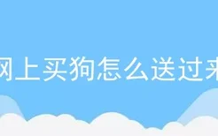 网上买狗怎么送过来