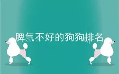 脾气不好的狗狗排名