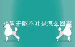 小狗干呕不吐是怎么回事