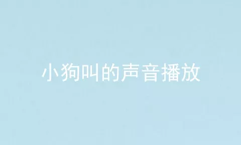 小狗叫的声音播放