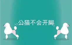 公猫不会开脚