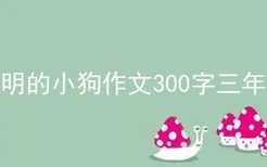 聪明的小狗作文300字三年级