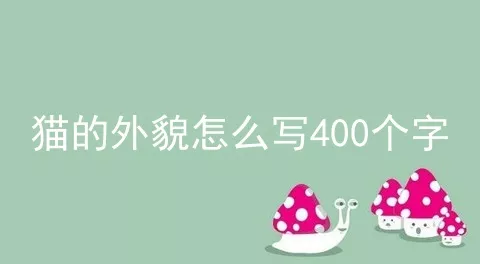 猫的外貌怎么写400个字