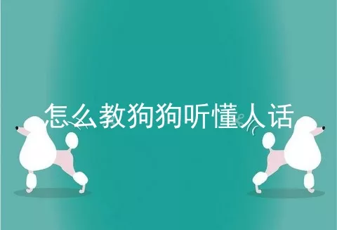 怎么教狗狗听懂人话