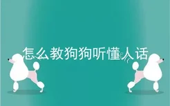 怎么教狗狗听懂人话