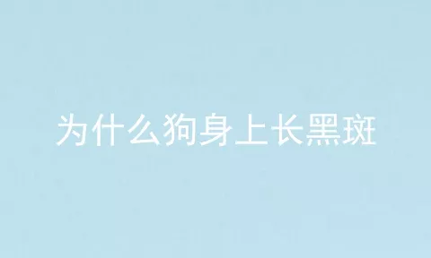 为什么狗身上长黑斑