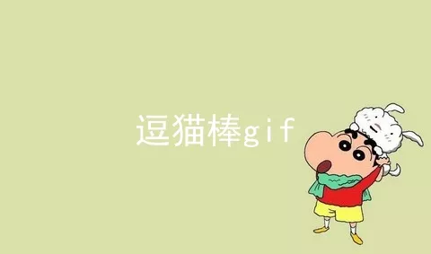 逗猫棒gif