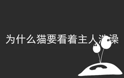 为什么猫要看着主人洗澡