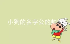 小狗的名字公的帅气