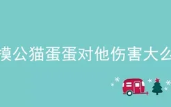 摸公猫蛋蛋对他伤害大么