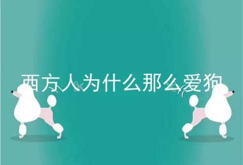 西方人为什么那么爱狗