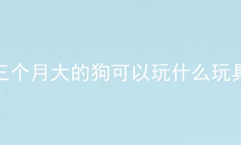 三个月大的狗可以玩什么玩具