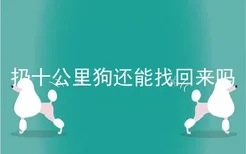 扔十公里狗还能找回来吗