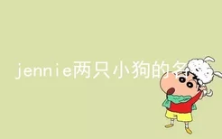 jennie两只小狗的名字